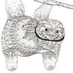 Raskrasil.com-Coloring-Pages-Sloth-78
