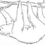 Previous Attachment