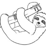 Raskrasil.com-Coloring-Pages-Sloth-88