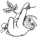 Raskrasil.com-Coloring-Pages-Sloth-89