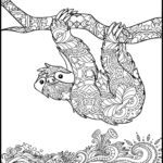 Raskrasil.com-Coloring-Pages-Sloth-9