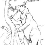 Raskrasil.com-Coloring-Pages-Sloth-91