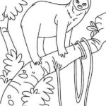 Raskrasil.com-Coloring-Pages-Sloth-92