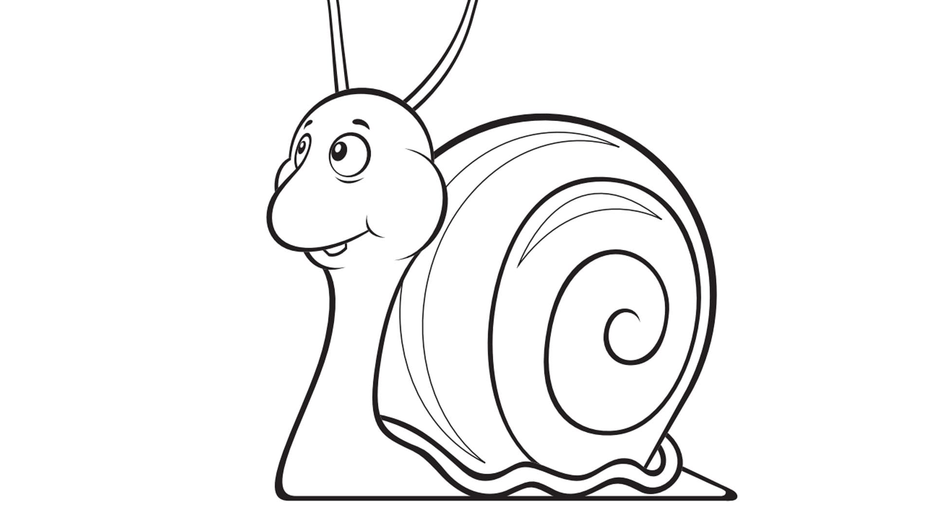 Raskrasil.com-Coloring-Pages-Snail-82