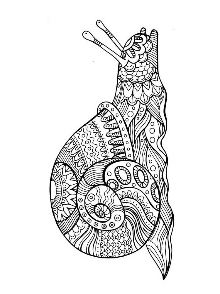 Raskrasil.com-Coloring-Pages-Snail-96
