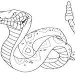 Raskrasil.com-Coloring-Pages-Snake-102