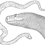 Raskrasil.com-Coloring-Pages-Snake-22