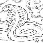 Raskrasil.com-Coloring-Pages-Snake-23