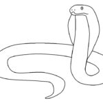 Raskrasil.com-Coloring-Pages-Snake-25