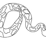 Raskrasil.com-Coloring-Pages-Snake-27