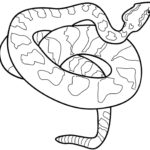 Raskrasil.com-Coloring-Pages-Snake-31
