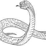 Previous Attachment