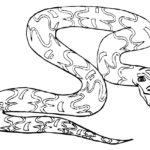 Raskrasil.com-Coloring-Pages-Snake-37