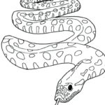 Raskrasil.com-Coloring-Pages-Snake-40