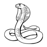 Raskrasil.com-Coloring-Pages-Snake-49