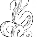 Raskrasil.com-Coloring-Pages-Snake-5