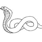 Raskrasil.com-Coloring-Pages-Snake-60