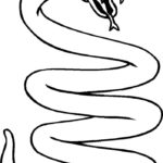 Raskrasil.com-Coloring-Pages-Snake-61