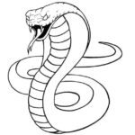 Raskrasil.com-Coloring-Pages-Snake-73