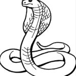 Raskrasil.com-Coloring-Pages-Snake-75