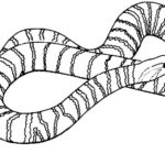 Raskrasil.com-Coloring-Pages-Snake-77