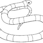 Raskrasil.com-Coloring-Pages-Snake-78
