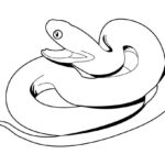 Raskrasil.com-Coloring-Pages-Snake-82