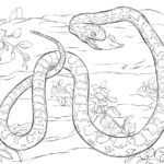 Raskrasil.com-Coloring-Pages-Snake-84