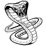 Raskrasil.com-Coloring-Pages-Snake-86