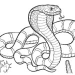Raskrasil.com-Coloring-Pages-Snake-89