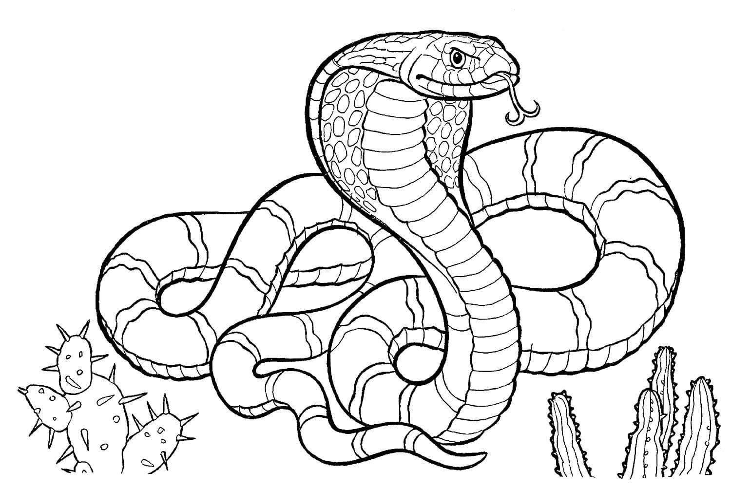 Desenhos de Cobras para Colorir