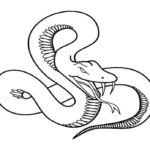 Raskrasil.com-Coloring-Pages-Snake-91