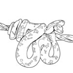Raskrasil.com-Coloring-Pages-Snake-99