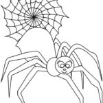 Raskrasil.com-Coloring-Pages-Spider-Web-101