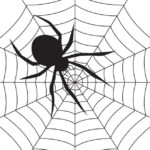 Raskrasil.com-Coloring-Pages-Spider-Web-12