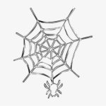 Raskrasil.com-Coloring-Pages-Spider-Web-15