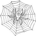 Raskrasil.com-Coloring-Pages-Spider-Web-17