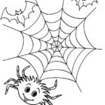 Raskrasil.com-Coloring-Pages-Spider-Web-22