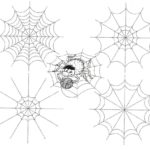 Raskrasil.com-Coloring-Pages-Spider-Web-23