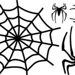 Raskrasil.com-Coloring-Pages-Spider-Web-28