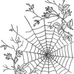 Raskrasil.com-Coloring-Pages-Spider-Web-29