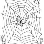 Raskrasil.com-Coloring-Pages-Spider-Web-34