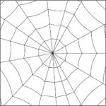 Raskrasil.com-Coloring-Pages-Spider-Web-35