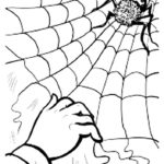 Raskrasil.com-Coloring-Pages-Spider-Web-38