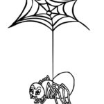 Raskrasil.com-Coloring-Pages-Spider-Web-47