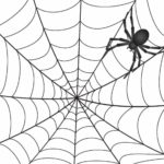 Raskrasil.com-Coloring-Pages-Spider-Web-49