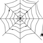 Raskrasil.com-Coloring-Pages-Spider-Web-50