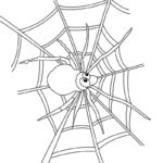 Raskrasil.com-Coloring-Pages-Spider-Web-60