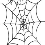Raskrasil.com-Coloring-Pages-Spider-Web-63