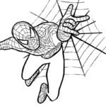 Raskrasil.com-Coloring-Pages-Spider-Web-71
